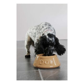 Kameninová miska pre psov Mason Cash Pet Cane Dog, ø 21 cm - Image 5