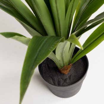 Umelá rastlina (výška  80 cm) Yucca – Kave Home – Obrázok 4