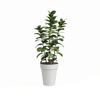 Kvetináč z recyklovaného plastu ø 40 cm Capri – Artevasi - Image 2