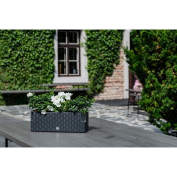 Hrantík 40 cm Cobble – Flower Lover - Image 5