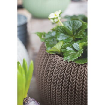 Plastový závesný a nástenný  kvetináč ø 28 cm Cozy – Keter - Image 3