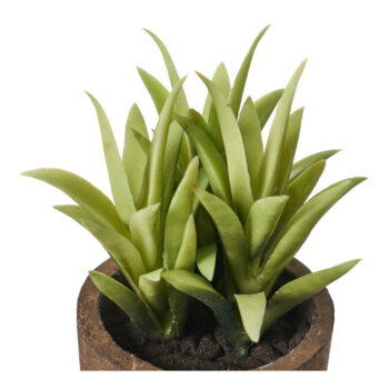 Umelé rastliny v súprave 4 ks (výška  10 cm) Cactus – Casa Selección - Image 4