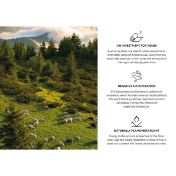 Krémovo-sivý vlnený koberec 200x300 cm Plants – Agnella – Obrázok 8