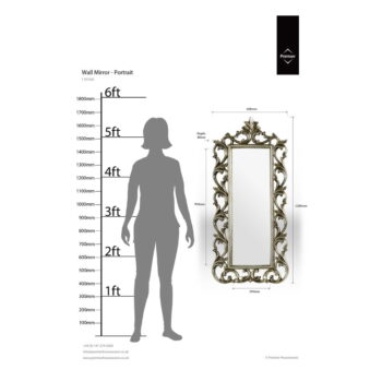 Nástenné zrkadlo 57x126 cm Champagne – Premier Housewares - Image 2