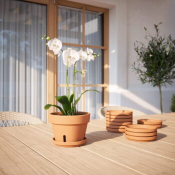 Miska pod kvetináč z terakoty ø 36 cm – Artevasi – Obrázok 2