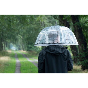 Transparentný dáždnik odolný proti vetru Esschert Design, ⌀ 81 cm - Image 6