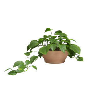 Kvetináč z terakoty ø 31 cm Saramago – Artevasi – Obrázok 2