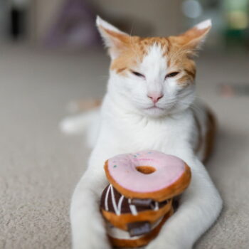 Hračky pre mačku v súprave 3 ks Donuts – P.L.A.Y. – Obrázok 2