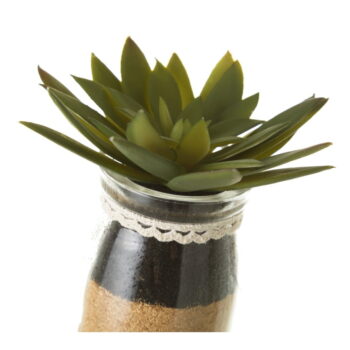 Umelé rastliny v súprave 4 ks (výška  18 cm) Cactus – Casa Selección - Image 4