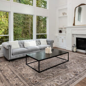 Béžový koberec 160x240 cm Sovereign – Asiatic Carpets - Image 2