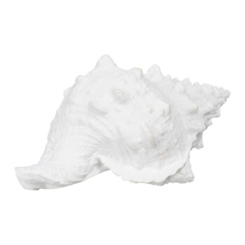 Soška z polyresínu (výška 12 cm) Seashell – Ixia – Obrázok 2