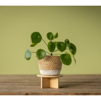 Bambusový stojan na kvety ø 18 cm – Esschert Design - Image 4