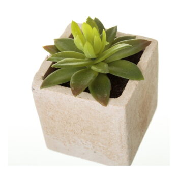 Umelé rastliny v súprave 6 ks (výška  9,5 cm) Cactus – Casa Selección - Image 2