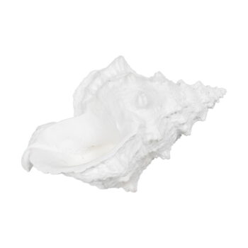 Soška z polyresínu (výška 12 cm) Seashell – Ixia – Obrázok 4
