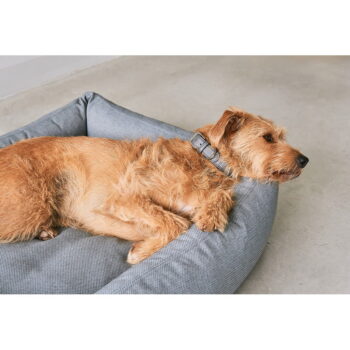 Sivý pelech pre psa 55x70 cm Mare Rock S – MiaCara – Obrázok 4