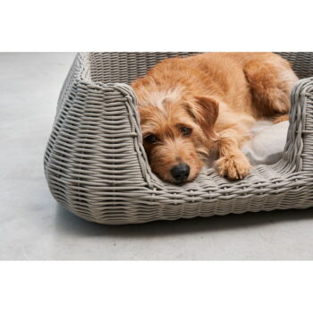 Béžový pelech pre psa 58x68 cm Mio Greige S – MiaCara - Image 8