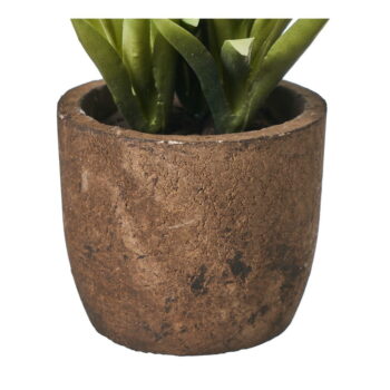 Umelé rastliny v súprave 4 ks (výška  10 cm) Cactus – Casa Selección - Image 6