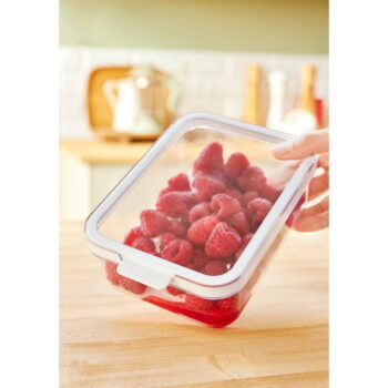 Plastový organizér do chladničky Cauma – Rotho – Obrázok 3