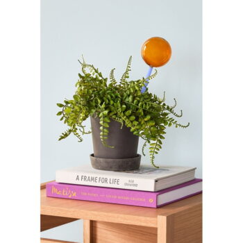 Modro-hnedá sklenená zavlažovacia guľa Flora - Hübsch – Obrázok 4