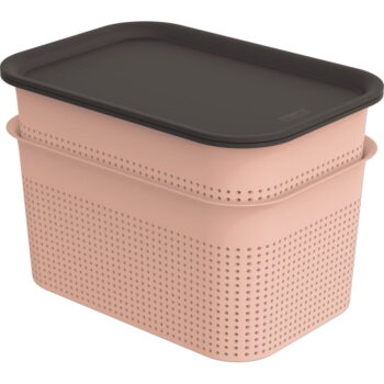 Svetloružové plastové úložné boxy s vekom v súprave 2 ks 18,5x26,5x18 cm Brisen – Rotho