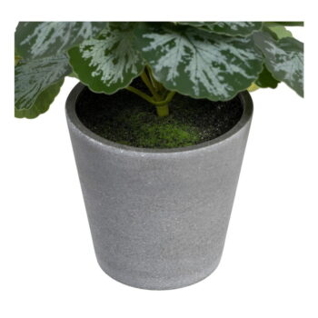 Umelá rastlina (výška 21,5 cm) Saxifraga – Ixia – Obrázok 3
