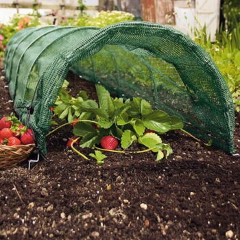 Záhradné textílie – Garden Pleasure - Image 2