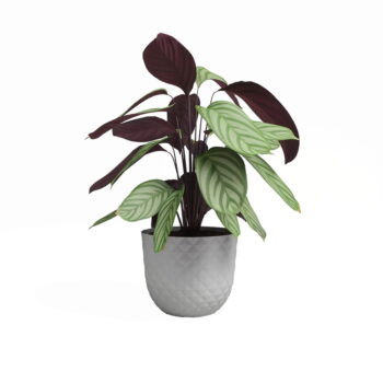 Kvetináč z recyklovaného plastu ø 20 cm Havana – Artevasi - Image 2
