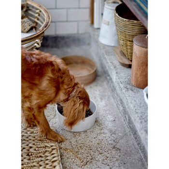 Kameninová miska pre psa ø 17,5 cm Buddy – Bloomingville - Image 2