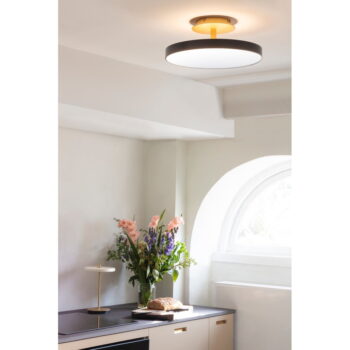 Antracitovosivé LED stropné svietidlo ø 43 cm Asteria Up – UMAGE - Image 3