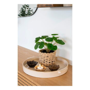 Umelá rastlina (výška 28 cm) Pelia – House Nordic - Image 2