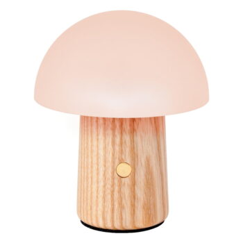 Stmievateľná stolová lampa v prírodnej farbe so skleneným tienidlom (výška 13 cm) Alice – Gingko - Image 4
