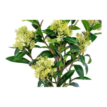 Umelá rastlina Skimmia – House Nordic - Image 7