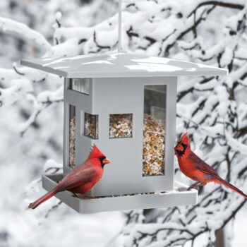 Kŕmidlo pre vtáčiky Bird - Umbra - Image 9
