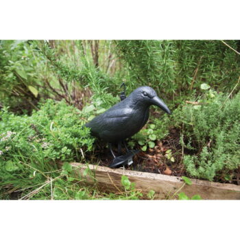 Plastový plašič vtákov Crow – Esschert Design - Image 4