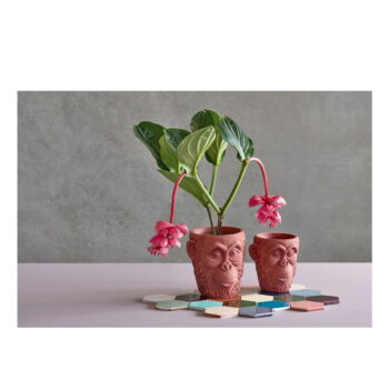 Červený kvetináč Villa Collection Calbe, výška 22,5 cm - Image 4