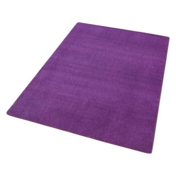 Tmavofialový koberec 160x240 cm Fancy – Hanse Home - Image 4