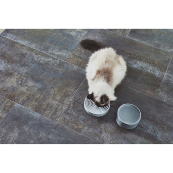 Porcelánová miska pre mačku ø 14 cm Fresco Concrete S – MiaCara - Image 6