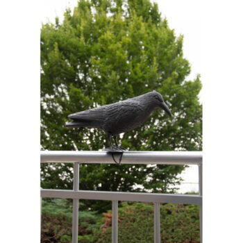 Plastový plašič vtákov Crow – Esschert Design - Image 5