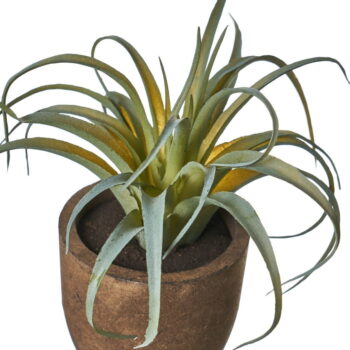 Umelé rastliny v súprave 4 ks (výška  10 cm) Cactus – Casa Selección - Image 2