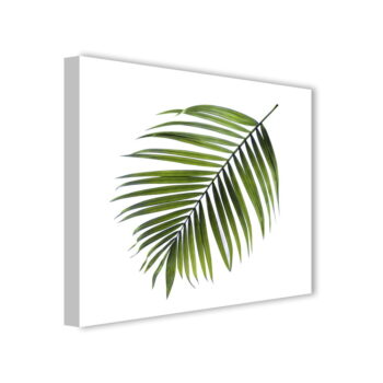 Obraz Styler Canvas Greenery Black Palm, 32 x 32 cm – Obrázok 3