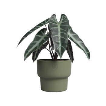 Keramický ručne vyrobený kvetináč ø 17 cm Echo – Artevasi – Obrázok 2