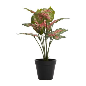 Umelá rastlina (výška  40 cm) Caladium – Light & Living - Image 2