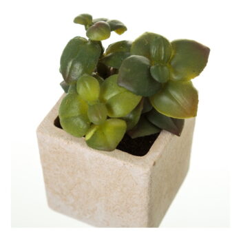 Umelé rastliny v súprave 6 ks (výška  9,5 cm) Cactus – Casa Selección - Image 4
