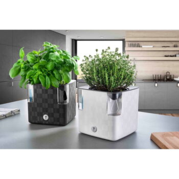 Samozavlažovací plastový kvetináč na bylinky Cobble - Flower Lover - Image 10
