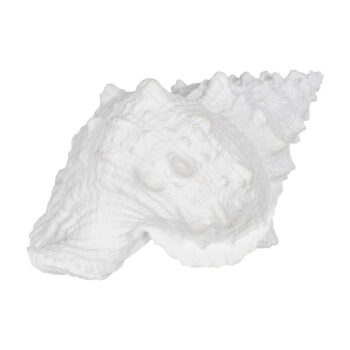 Soška z polyresínu (výška 12 cm) Seashell – Ixia – Obrázok 3