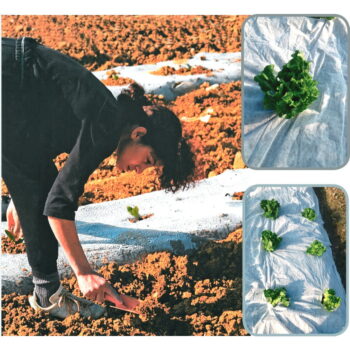 Mulčovacia textília – Garden Pleasure - Image 5