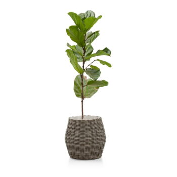 Záhradný kvetináč z umelého ratanu Bonami Essentials Grande Fiore – Obrázok 2