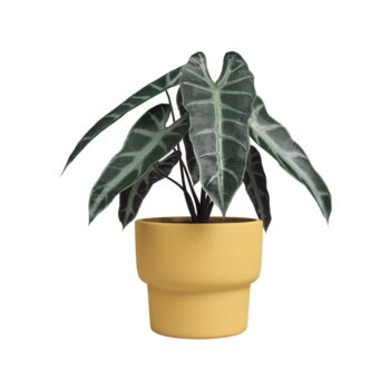 Keramický ručne vyrobený kvetináč ø 24 cm Echo – Artevasi - Image 3