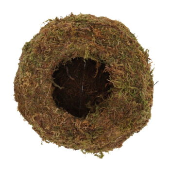 Kvetináč ø 14,5 cm Kokedama – Esschert Design - Image 8