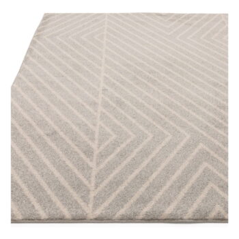 Svetlosivý koberec 120x170 cm Muse – Asiatic Carpets - Image 4